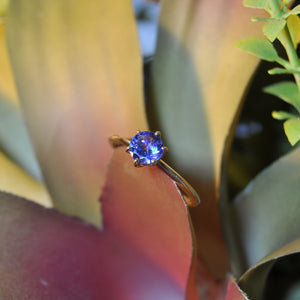 Solitario Corona 6 punte