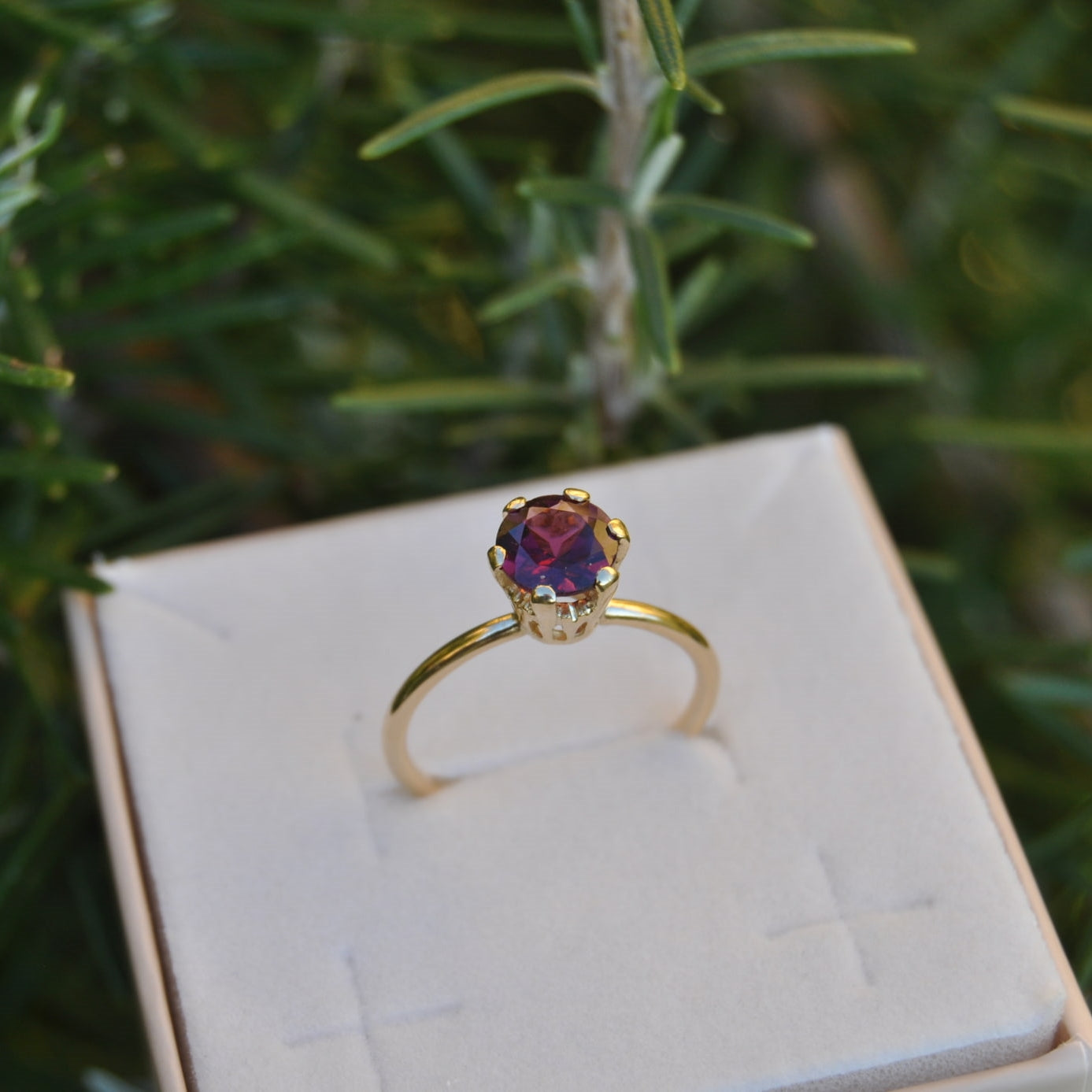 Solitario Corona Rodolite