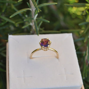 Solitario Corona Rodolite