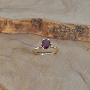 Solitario Corona Rodolite