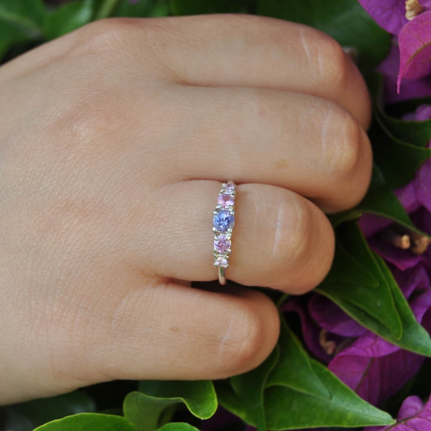 Mezza riviera Estate