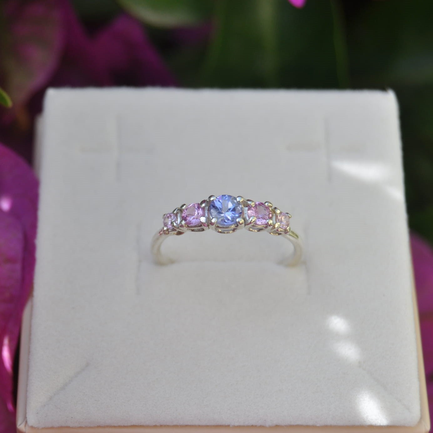 Mezza riviera Estate