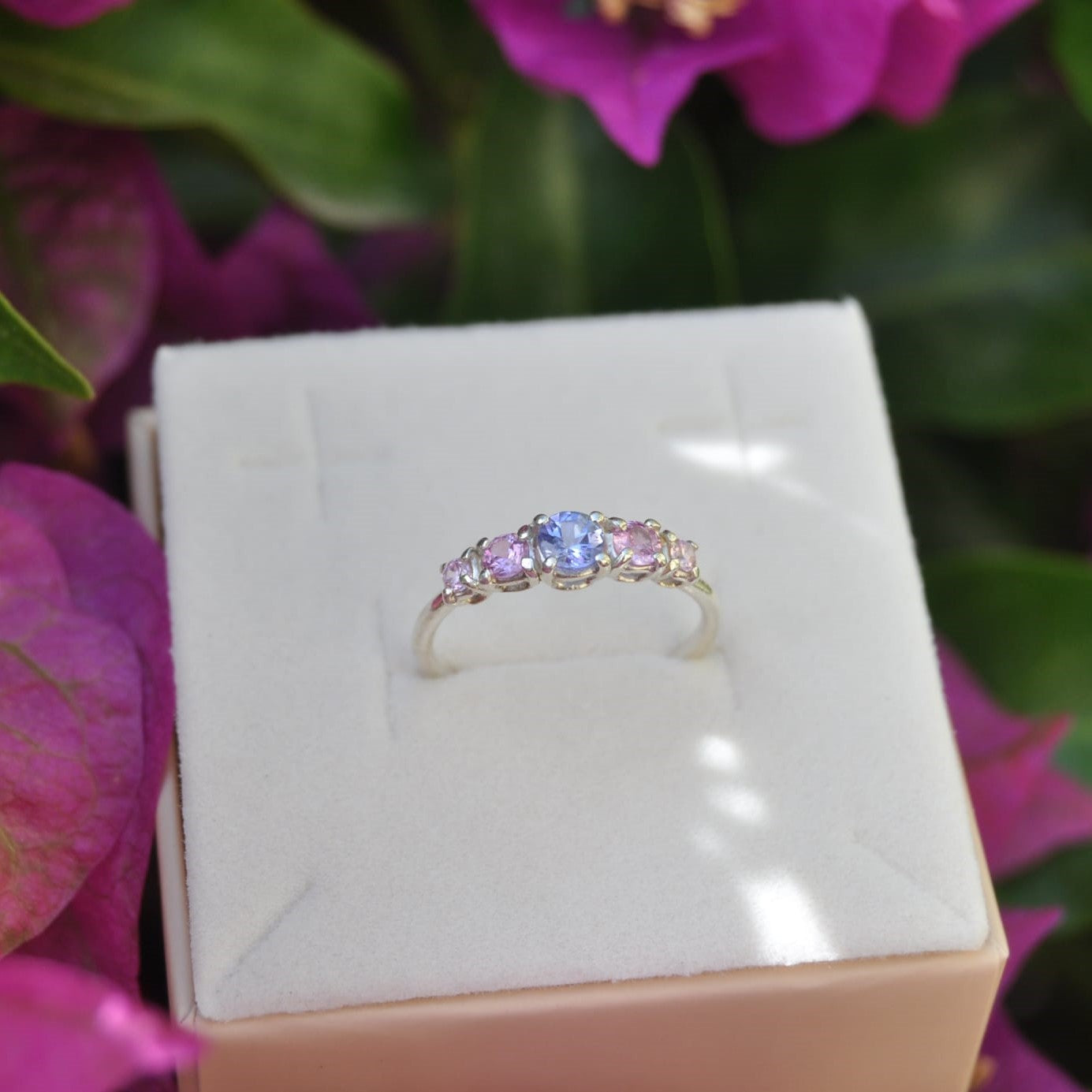 Mezza riviera Estate